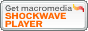Macromedia Shockwave Player _E[h